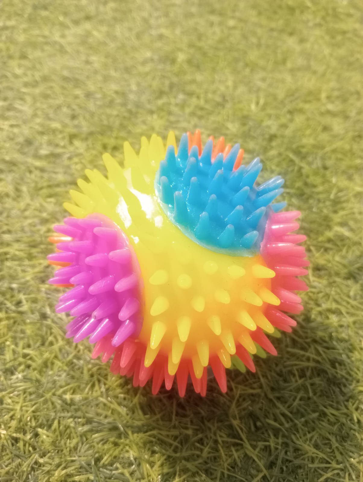dog toy