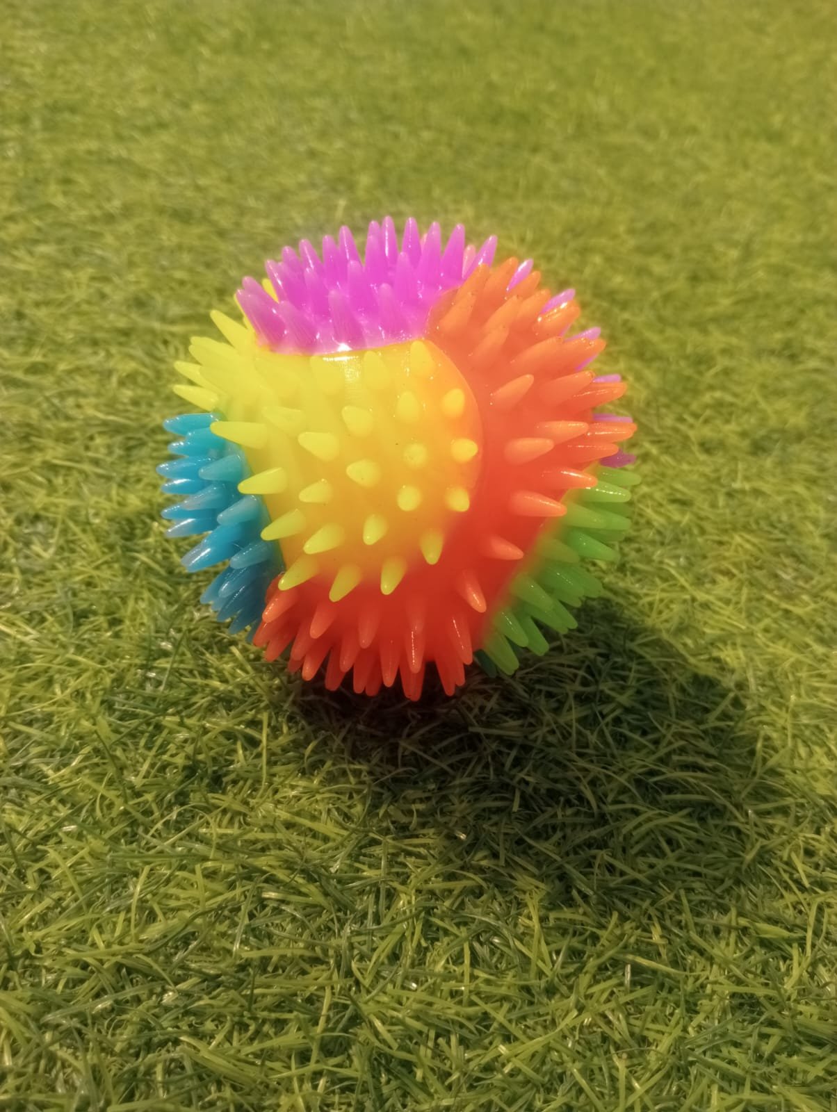 dog toy