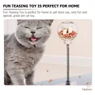 cat toys
