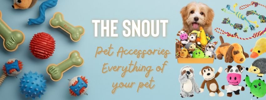 Category Banner